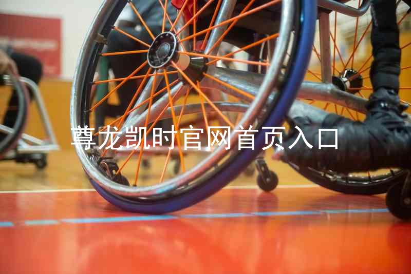 尊龙凯时官网首页入口